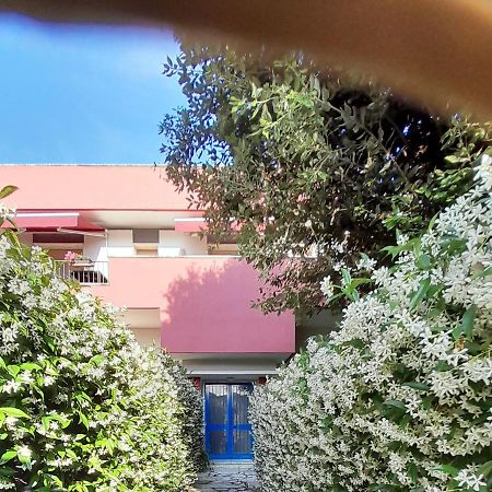 Appartamento Ornello Pietrasanta Eksteriør bilde